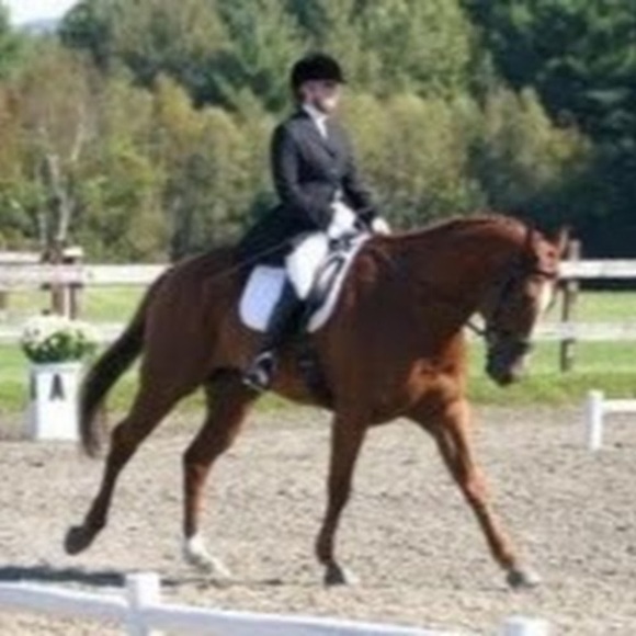 Meet your Posher, Jessica - Picture 1 of 1